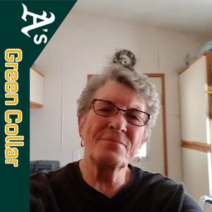 Meet your Posher, Norma